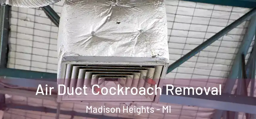  Air Duct Cockroach Removal Madison Heights - MI