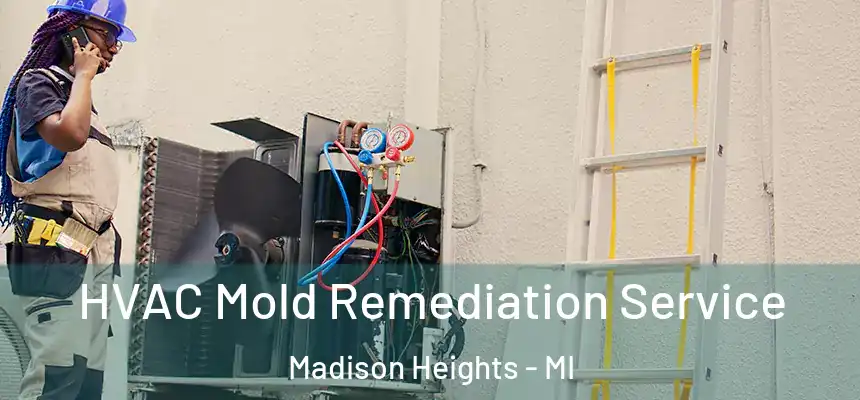  HVAC Mold Remediation Service Madison Heights - MI