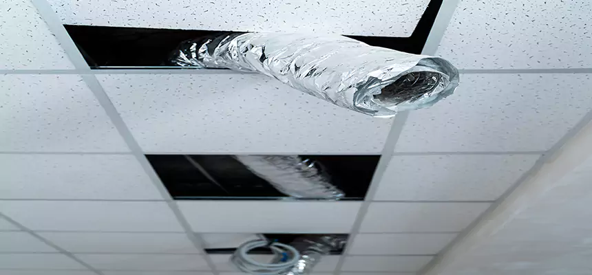 Affordable HVAC Sanitizing After Pest Removal in Madison Heights