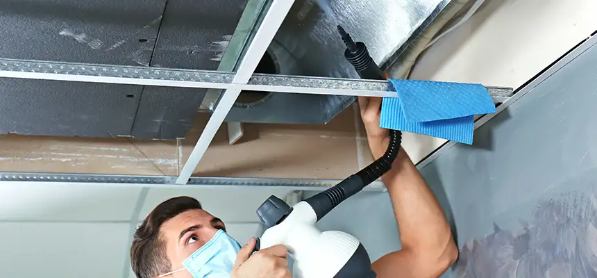 Our Air Duct Rodent Removal Services in Madison Heights, MI