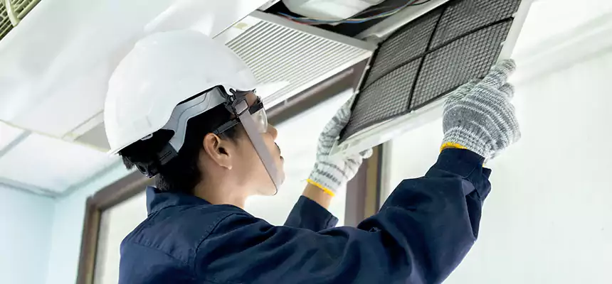 Our Mold & Mildew Removal from Air Ducts Services in Madison Heights, MI