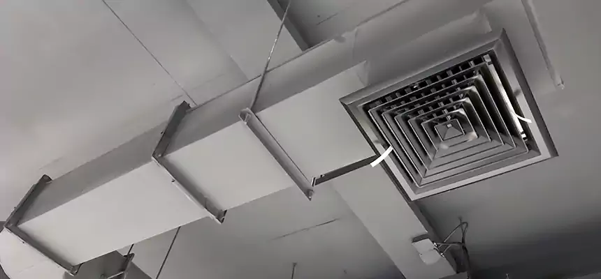 Our Pest Removal From Ducts Services in Madison Heights, MI