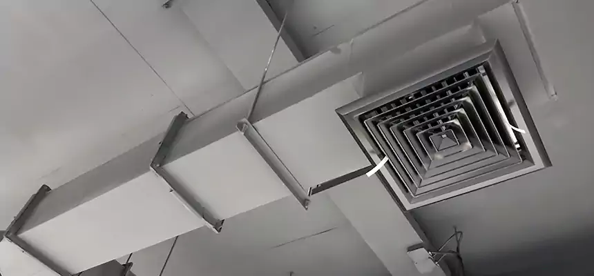 Our Rodent Droppings In Vents Services in Madison Heights, MI