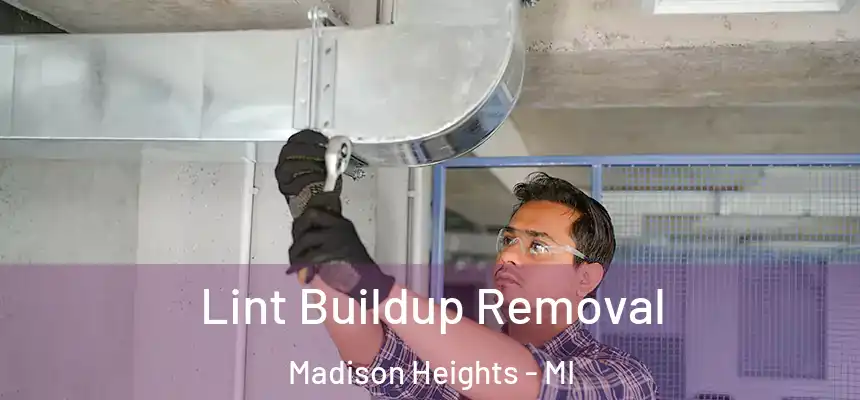  Lint Buildup Removal Madison Heights - MI