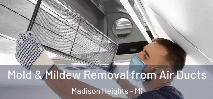  Mold & Mildew Removal from Air Ducts Madison Heights - MI