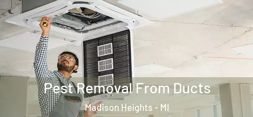  Pest Removal From Ducts Madison Heights - MI