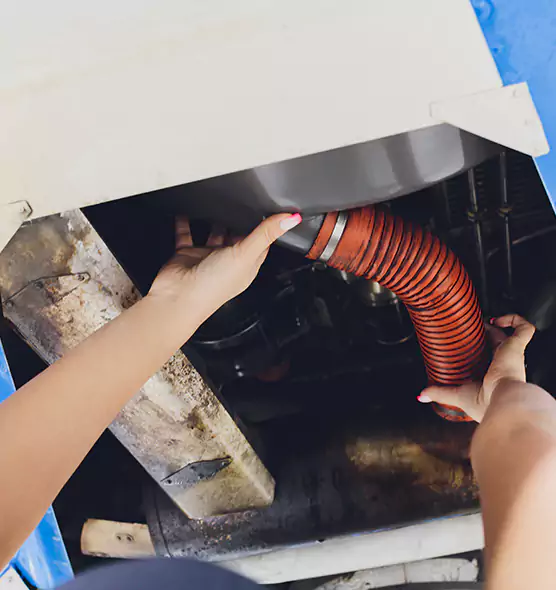 About Air Duct Virus Disinfection in Madison Heights, MI