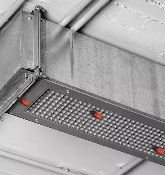 Affordable Insect Removal from Air Ducts in Madison Heights, MI