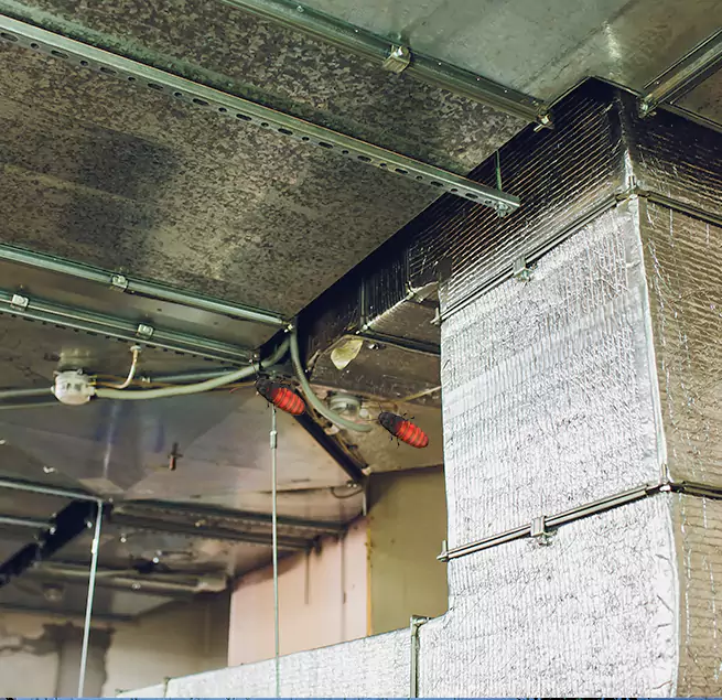 Why Homeowners & Businesses Trust Us in Madison Heights, MI?